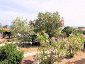 Apartment Sa Fiorida - Angela by Interhome