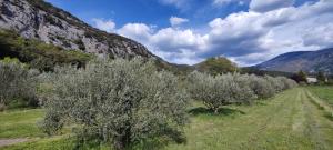 Le Rissas, gîte 4 p au pied du Mont ventoux