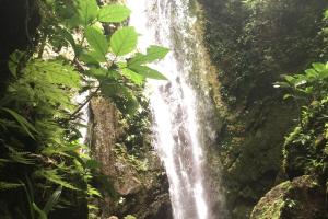 New Beachfront Jewel in the Jungle on Golfo Dulce