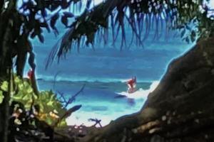 New Beachfront Jewel in the Jungle on Golfo Dulce