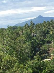 Iliyana Home Stay