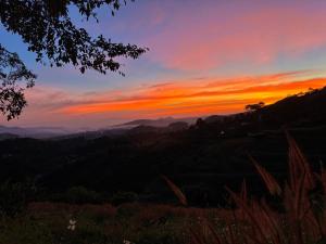 Thảo Nguyên farm&healing