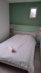 Maison et appartement en rez de chaussée 7 chambres