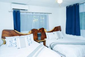 Buena Vista El Zonte