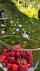 Lägenhet nära naturen