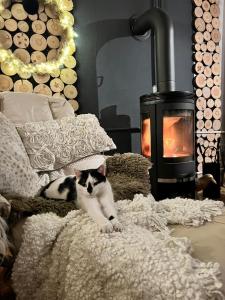 Ferienwohnung Sartorius