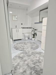 Light Spacious Basement Studio recently decorated in hosts house with private terrace and BBQ Ideal for The camino