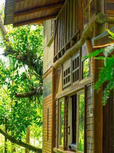 Refúgio Artesanal na Mata Atlântica | Mariscal