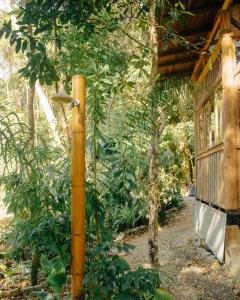 Refúgio Artesanal na Mata Atlântica | Mariscal