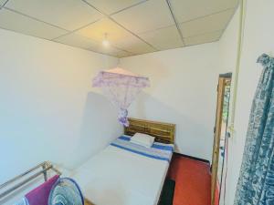 Freedom Safari Lodge