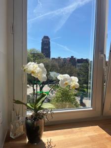 Lets Stay Apartments - Pearl