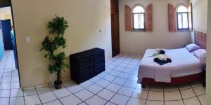 Tortuga Cabarete Resindencial