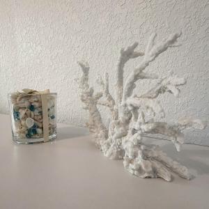 The Cozy Cove II 3 Min to Beach