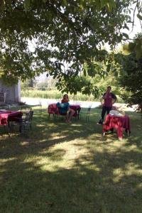 Apartment Agritourismus Vigne di Pace by Interhome