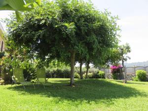 Apartment Mono Vista Mare Wohnung in Acireale by Interhome