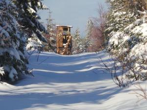 Apartment Fewo Am Skihang OG by Interhome