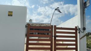 La Conchita de Sisal 7