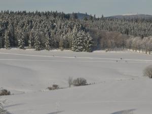 Apartment Wohnung in Hohegeiß mit Grill und Garten by Interhome