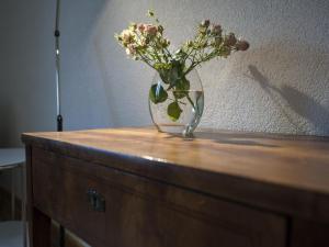 Apartment Wohlfühloase für Natur- und Gartenliebhaber by Interhome