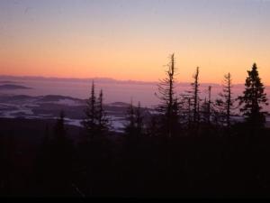 Apartment Wildfeuer by Interhome