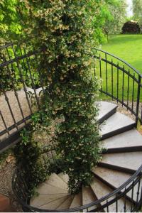 Apartment Wohnung mit Blick auf den Gardasee by Interhome