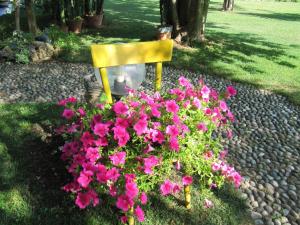 Apartment Wohnung mit Blick auf den Gardasee by Interhome