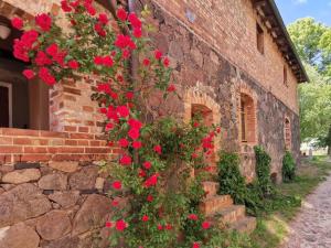 Apartment Wohnung in Haselberg mit Großem Garten by Interhome