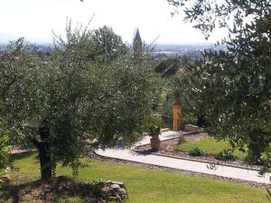 Apartment Anwesen Il Campano mit Whirlpool by Interhome