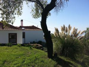 Holiday Home Ruhige Finca Topo del Drago mit Meerblick by Interhome