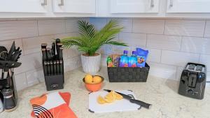 Bird of Paradise l 1BD Lux King in NE Jax