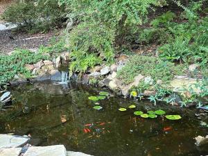 Tranquility Hideaway - King Beds, Pets, Handicap Accessible