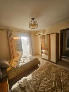 شقه للايجار الشيخ زايد جنه زايد