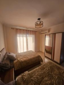 شقه للايجار الشيخ زايد جنه زايد