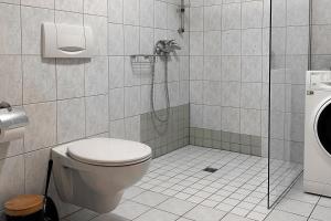 Hilbersdorfer, App 119