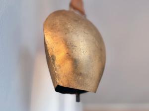 Königlicher Schloss- und Alpenblick