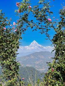 Hotel Lekhnath View Tower and Eco Farm
