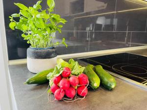 Apartment Passat Teichhof Fehmarn