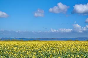 Reethaus "Swantewit"