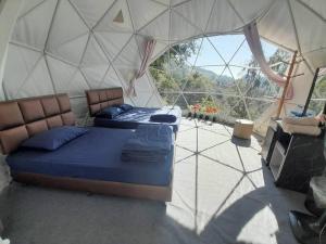 ภูชี้ฟ้าอินน์ รีสอร์ท Phucheefainn Resort