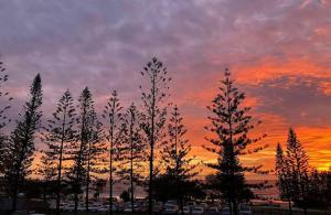 Mariner Shores Beach Club