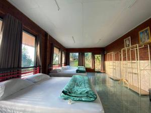 ภูชี้ฟ้าอินน์ รีสอร์ท Phucheefainn Resort