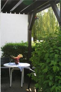 Swaantje-Kormoran Q3