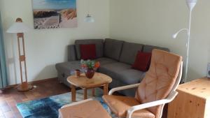 Swaantje-Kormoran Q3