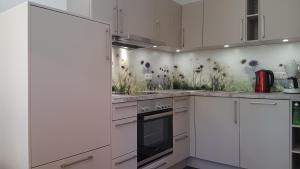 Swaantje-Kormoran Q3