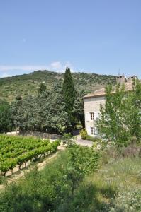 Maisons de vacances Domaine le Bourdet : photos des chambres