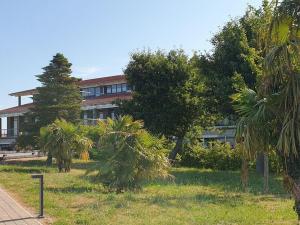 Ostseeidyll No 8 - Aurora Vista - ABC572