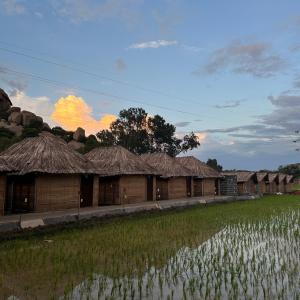 The Gravity Cafe -A Unit Of StayChillHampi