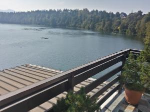 Double Room with Balcony and Lake View room in Gostisce Jezero