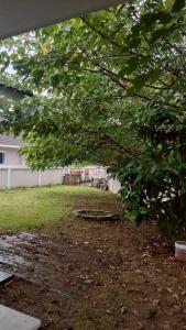 3 bedroom house in quiet area