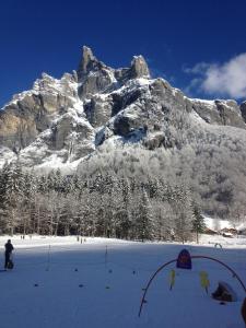 Gites Chalet La R'Batte : photos des chambres